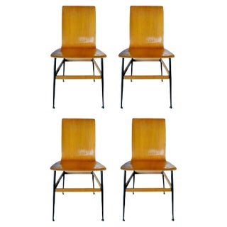 Dining Chairs by Rinaldo Scaioli and Eugenia Alberti Reggio, 1960s, Set of 4 For Sale