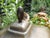 Antique Lidded Box in Brass Sheet with Embossing, 1890s For Sale - Image 8 of 18