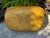 Vintage Mustard Painted “The Lady Jane Grey” Large Harvesting Basket - Folk Art For Sale In Houston - Image 6 of 10