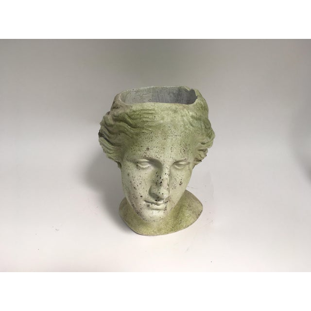 Green Moss Venus Bust Head Planter For Sale - Image 8 of 8