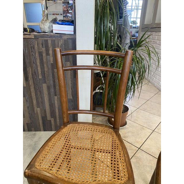 Antique Cane and Wood Chairs, 1890s, Set of 2 For Sale - Image 10 of 17