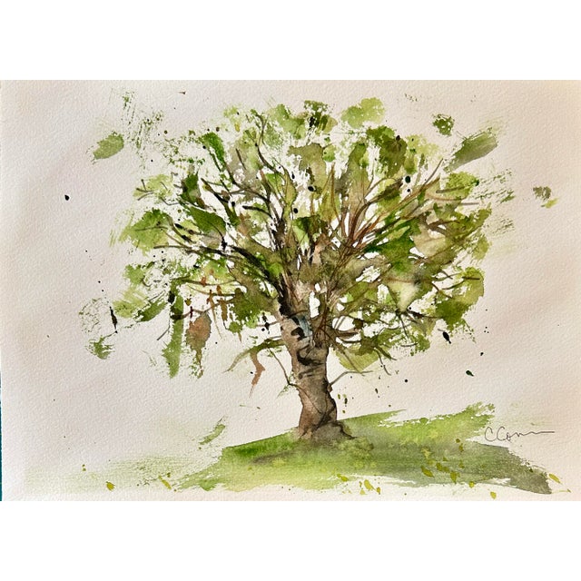 Illustration Original Watercolor Painting “Avocado Tree” For Sale - Image 3 of 10