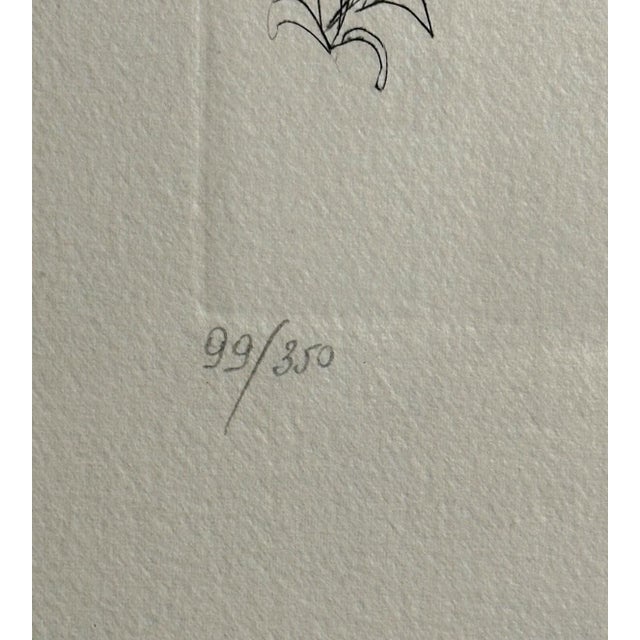 1970s Dali Florals Rose Hand Signed Numbered Etching Surreal Art For Sale - Image 4 of 4