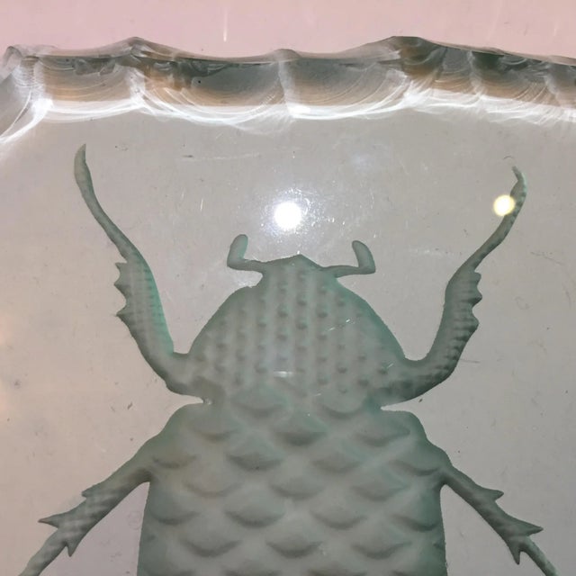 Figurative Glass Engraved Scarab Beetle Coaster For Sale - Image 3 of 12