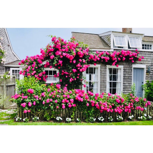 Antique Winnie-the-Pooh a.a. Milne, e.p. Dutton, 88th Edition 1933, Original Green Cloth, Ernest H. Shepard Illustrations, Nantucket Estate For Sale - Image 17 of 18