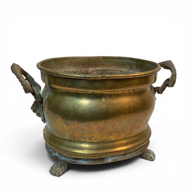 Brass Lions Head & Claw Feet Jardinière Planter For Sale - Image 13 of 14