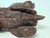 Vintage Hand Carved Wood Grizzly Bear - Signed W. Choate - 9" X 4.5" X 4" For Sale - Image 17 of 18
