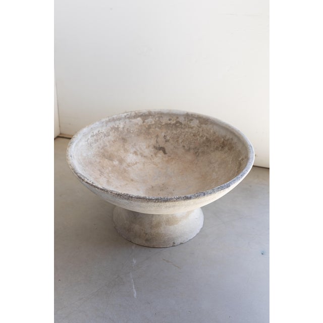 Pair of Saucer Planters From France For Sale - Image 14 of 16