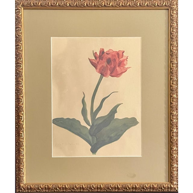 1940s Electra Tulip Lithograph Print For Sale