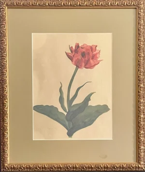 1940s Electra Tulip Lithograph Print