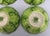 Green Vintage Bunny Lane Majolica Cereal Bowls by Strata Group-Set of 4 For Sale - Image 8 of 11