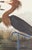 John James Audubon 1980s The Abbeville Press Edition of the Reddish Egret or Purple Heron (Plate 256) From the Birds of America by John James Audubon For Sale - Image 4 of 5