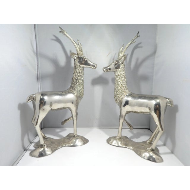 Miniature Silvered Brass Deer Figurines - a Pair For Sale - Image 12 of 12