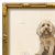 Various Artists Reproduction Art Print of Vintage "World of Dogs" Illustration (Cockapoo), Framed For Sale - Image 4 of 4