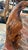 Late 20th Century Hand Carved American Eagle Statue For Sale In Greensboro - Image 6 of 9
