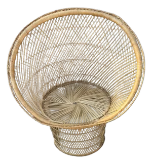 1970s Peacock Chair
