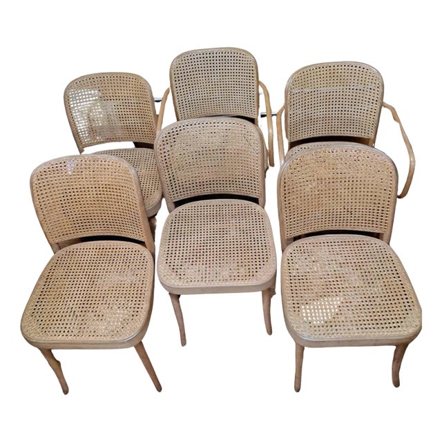 Set of Six Josef Hoffmann-Designed “Prague” Bentwood & Cane Chairs For Sale