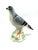 Mid-Century Ceramic Pigeon Figurine from Cortendorf, West Germany, 1950s-1960s For Sale - Image 10 of 16