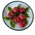 5" Christine Viennet French Trompe L’Oeil Porcelain Star Apple Plate For Sale In Atlanta - Image 6 of 10