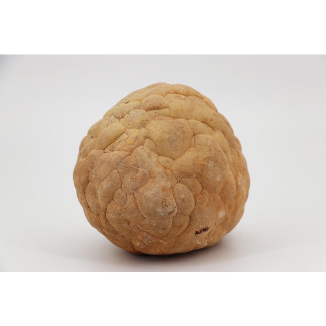 Free shipping to the United States. All U.S. orders are shipped via FedEx Economy, with an average delivery time of 8 to...