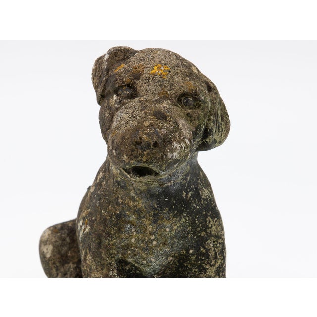 Gray Reconsitituted Stone Puppy or Dog Garden Ornament, England Mid 20th C. For Sale - Image 8 of 8