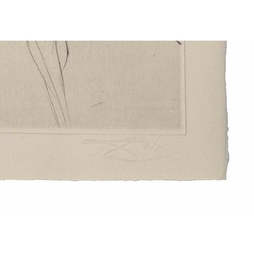 Etching and drypoint realized by Salvador Dalì to illustrate Pierre Ronsard's "Les Amours de Cassandre". Published by...