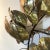 Large Mid Century Brutalist Form Copper and Brass Leaf Tree Branch and Butterfly Wall Hanging For Sale In Greenville, SC - Image 6 of 13
