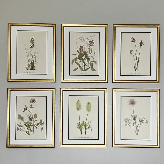 This is a beautiful set of 6 slightly distressed gold framed original vintage botanical prints. These authentic midcentury...