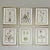 This is a beautiful set of 6 slightly distressed gold framed original vintage botanical prints. These authentic midcentury...