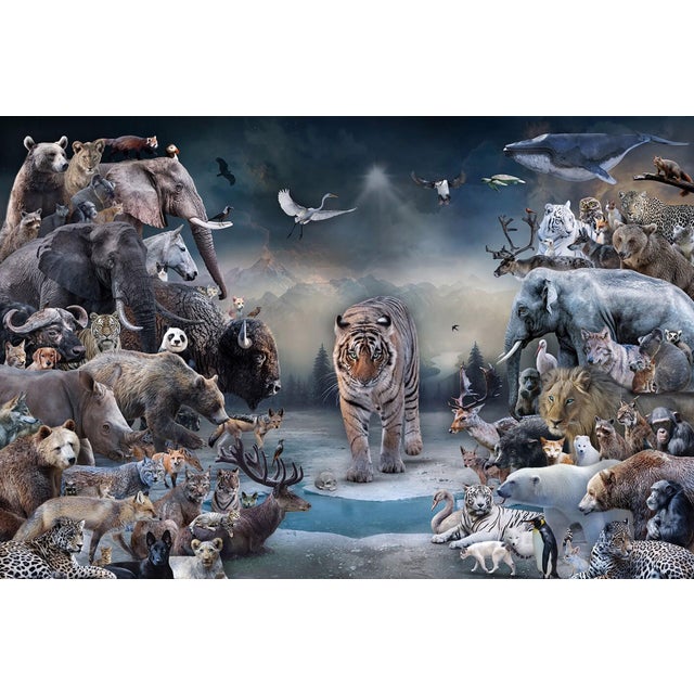 The Golden Age II by Marcin Owczarek | Photography of various wildlife in a surreal landscape For Sale