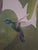 Illustration 1960s Rare Lucien Harris III Signed/Numbered Print 43/50 - Blue-Chinned Sapphire Hummingbird - Framed For Sale - Image 3 of 8