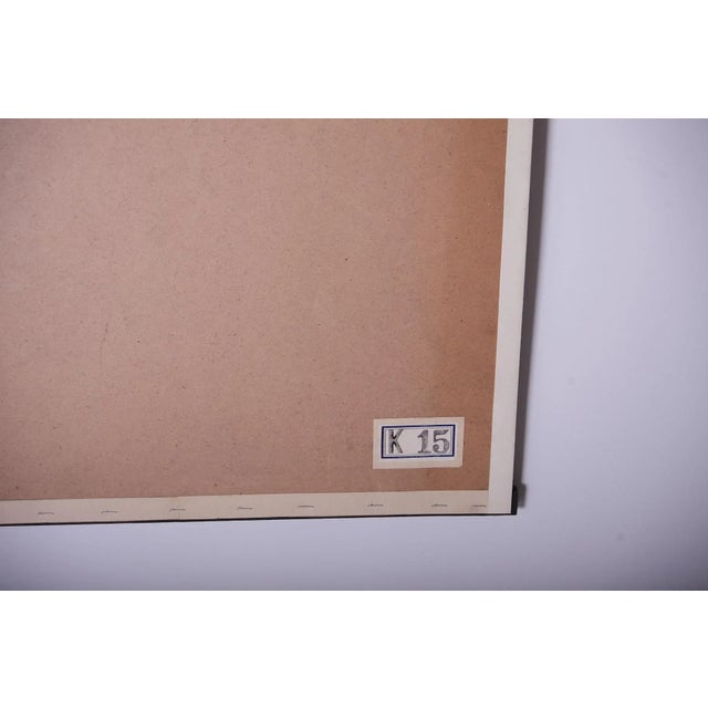 Badger School Poster, 1920s For Sale - Image 3 of 7