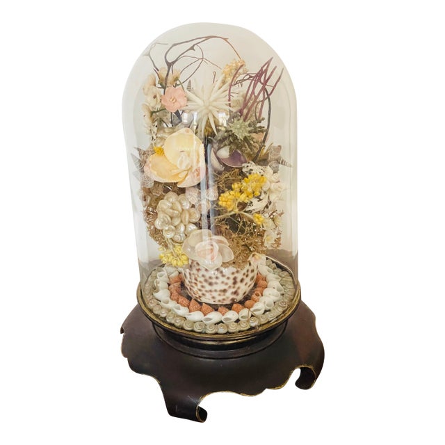 Antique Sea Shell Floral Bouquet Arrangement With Immortella in Dome For Sale