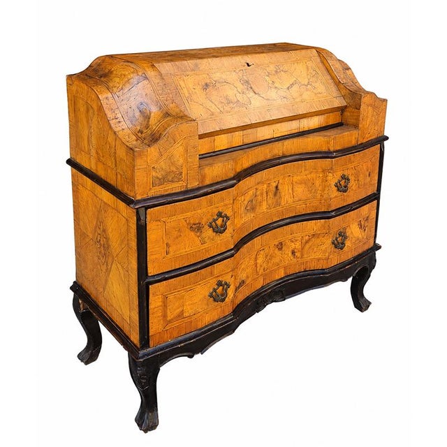 19th Century Walnut Burl Chest of Drawers For Sale - Image 9 of 12