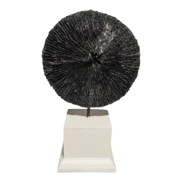 1960s Modernist Lacquered Mushroom Coral Specimen on Plinth For Sale