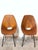 Metal Curved Plywood Chairs by Vittorio Nobili, Italy, 1950s, Set of 2 For Sale - Image 7 of 18