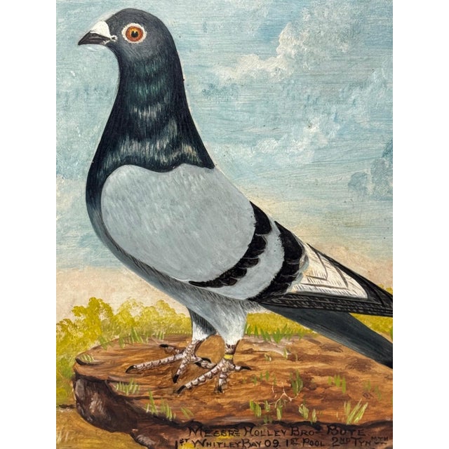 Circa 1930 British Folk Art Champion Racing Pigeons Oil Painting For Sale - Image 10 of 18