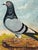 Circa 1930 British Folk Art Champion Racing Pigeons Oil Painting For Sale - Image 10 of 18