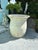 Ceramic Large Ivory Glazed Terracotta Planter With Flared Rim For Sale - Image 7 of 9