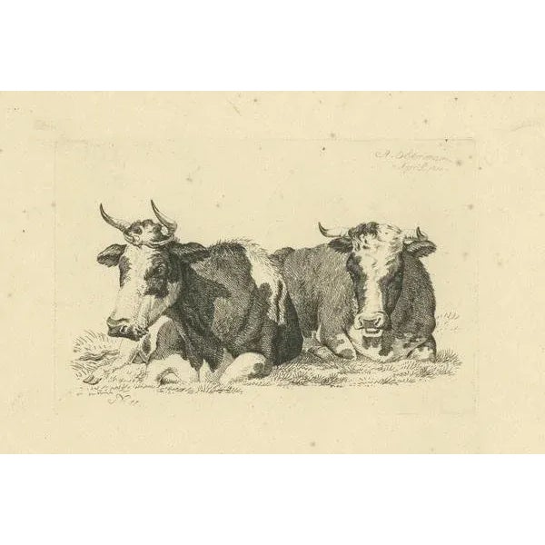 Paper Anthony Oberman, Pastoral Scene with Two Resting Cows, 1810, Print For Sale - Image 7 of 8