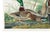 Mallard Duck, Vintage Art Print Reproduction From Birds of America by John James Audubon, 40" X 60" For Sale - Image 10 of 11