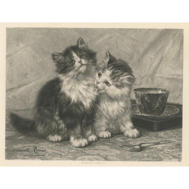 Late 19th Century Henriette Ronner, Friendly Feeling, Cats and Kittens, 1894, Print For Sale - Image 5 of 6