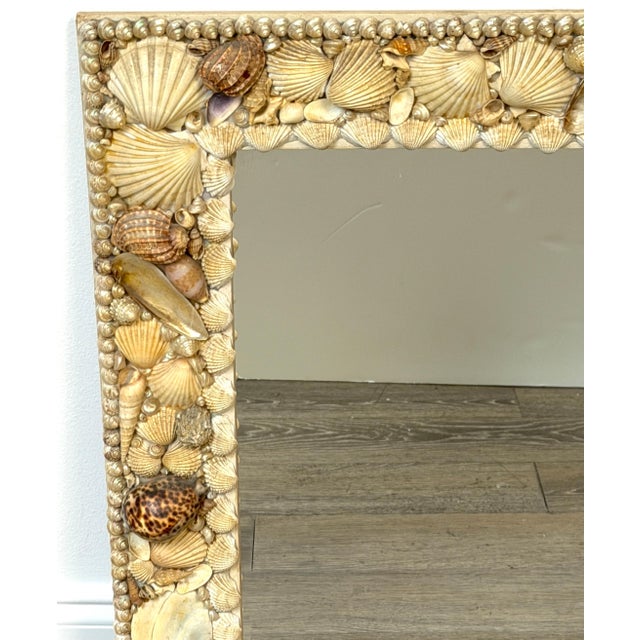 1960s Coastal Bohemian Specimen Shell Encrusted Mirror with Tiger Cowries For Sale - Image 4 of 14
