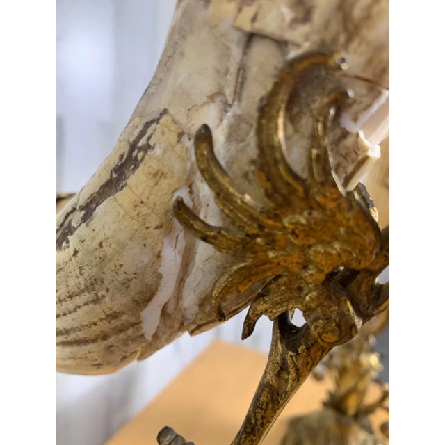 Antique Wild Boar Trophies For Sale - Image 10 of 12