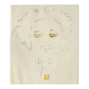 "E" Albert Einstein, Modern Portrait by Lilya Vorobey