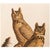 Farmhouse 1966 Vintage Farmhouse Cottage Print "Great Horned Owl" After John James Audubon For Sale - Image 3 of 8