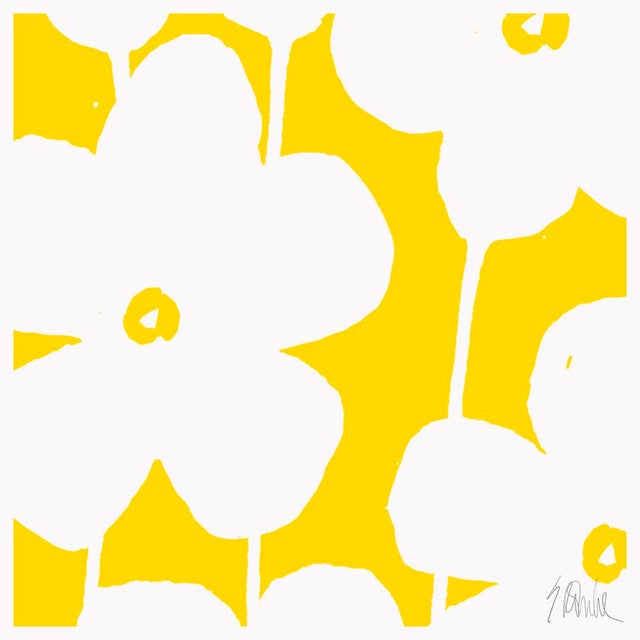 Fabulous Flowers in Yellow, No. 1 Fine Art Print 24" X 24" by Liz Roache For Sale