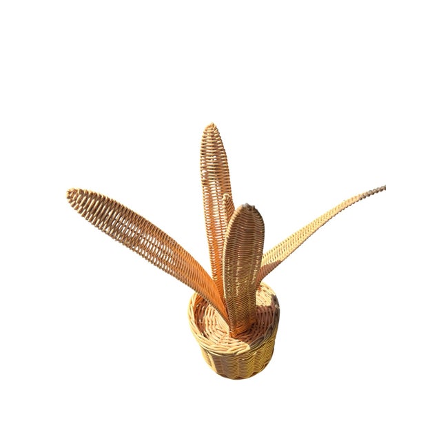 Vintage Sculptural Woven Rattan Aloe Plant Basket | Organic Modern Decor For Sale - Image 9 of 9