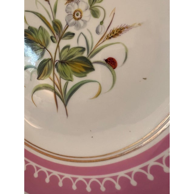 French Antique French Pink Old Paris Porcelain hand-painted dessert set with 12 plates and 5 assorted tazzas, porcelain with gilt accents - 17 pcs For Sale - Image 3 of 18