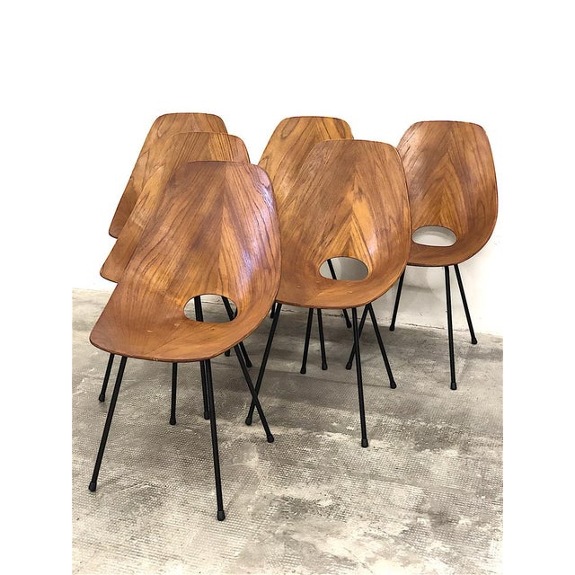 Dining Chairs attributed to Vittorio Nobili for Fratelli Tagliabue, 1950s, Set of 6 For Sale - Image 4 of 18